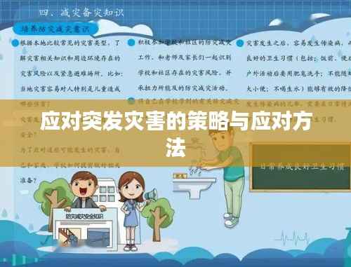 应对突发灾害的策略与应对方法