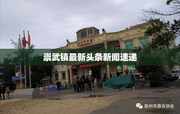 崇武镇最新头条新闻速递