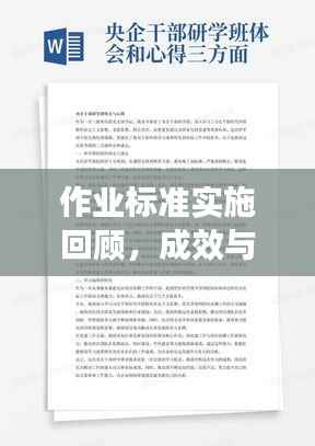 作业标准实施回顾,成效与经验总结