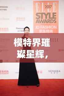 模特界璀璨星辉,揭秘当前最受欢迎的十大模特排名!