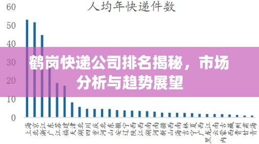 鹤岗快递公司排名揭秘,市场分析与趋势展望
