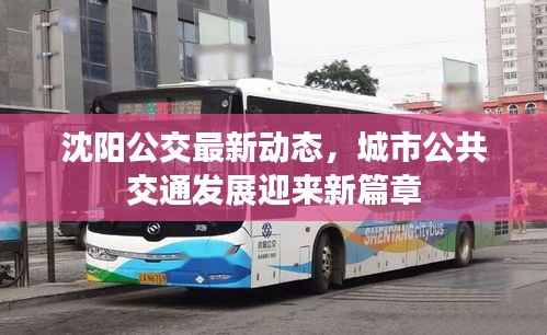 沈阳公交最新动态,城市公共交通发展迎来新篇章