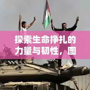 探索生命挣扎的力量与韧性,图片揭示生命的力量图谱