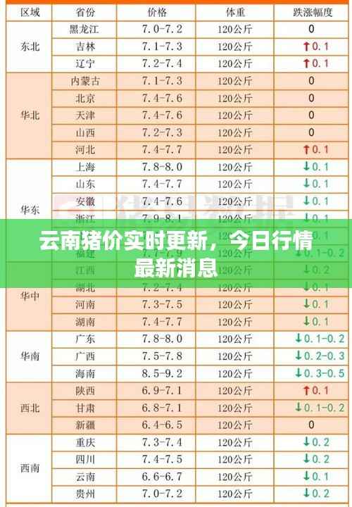 云南猪价实时更新,今日行情最新消息