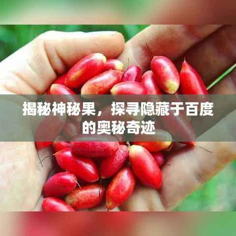 揭秘神秘果,探寻隐藏于百度的奥秘奇迹