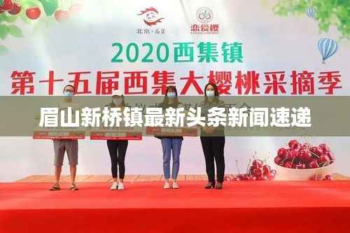 眉山新桥镇最新头条新闻速递