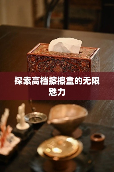 探索高档擦擦盒的无限魅力